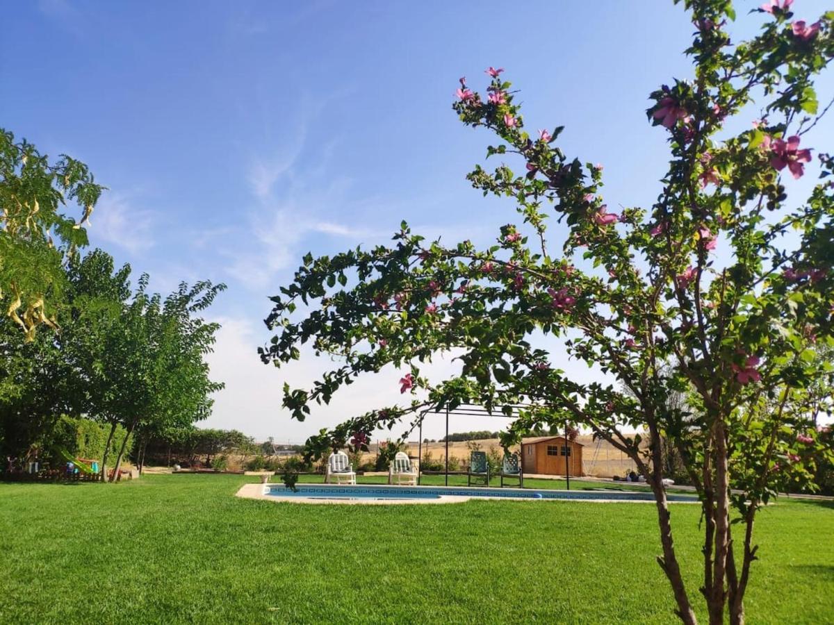 Valdetorres de Jarama Finca Paredes מראה חיצוני תמונה